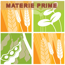 Materie Prime