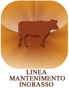 Mantenimento_6