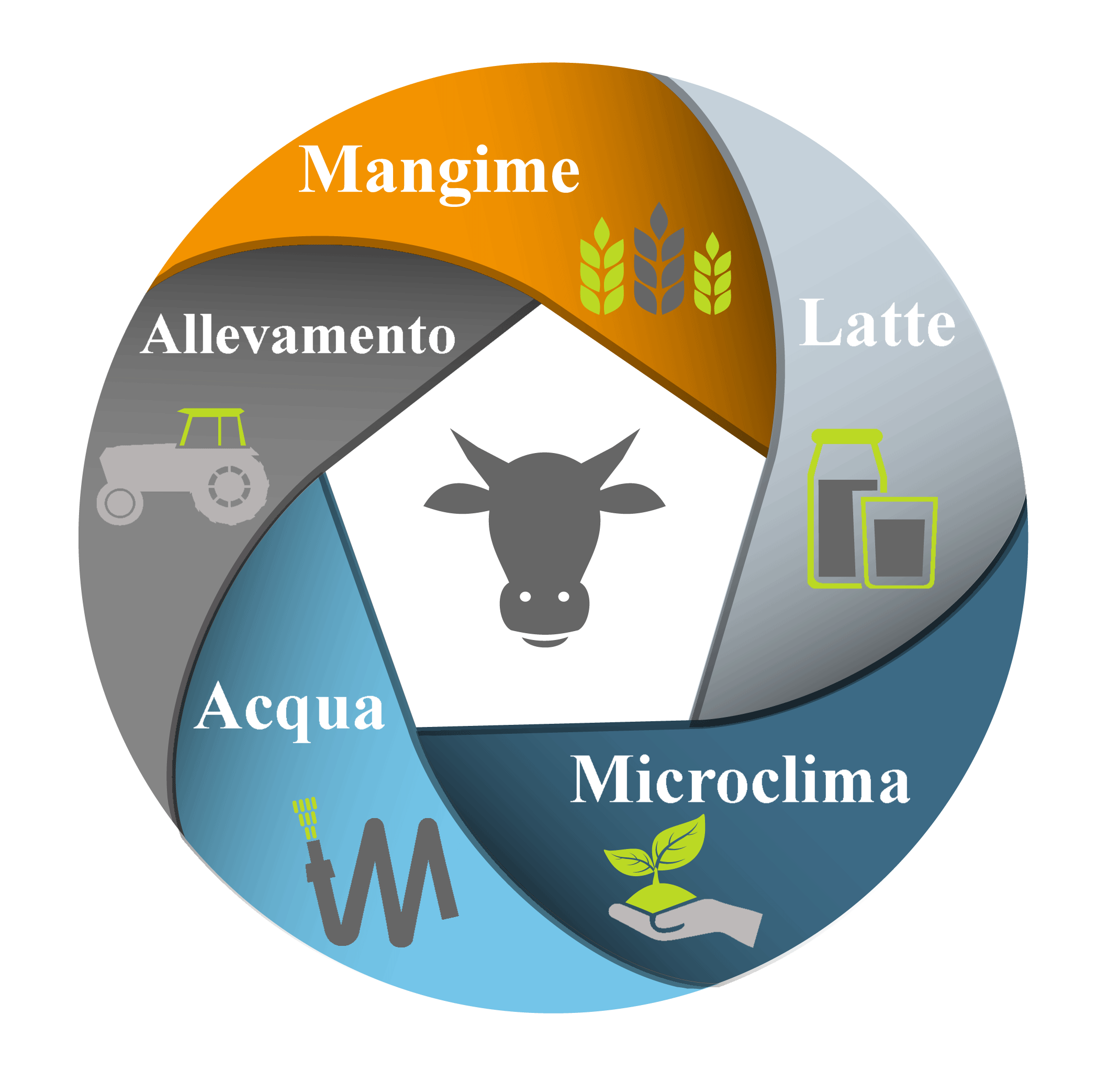 Il Vitello a carne bianca | Il Sistema di Lavoro